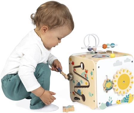 Janod Pure Activity Cube activity toy