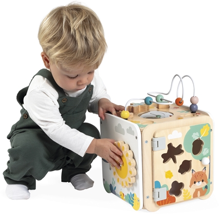 Janod Pure Activity Cube activity toy