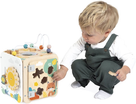 Janod Pure Activity Cube activity toy