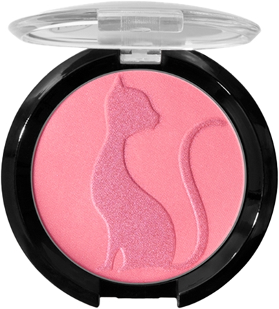 J.Cat Beauty Love Struck Bronzer and Blusher