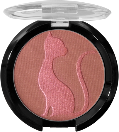 J.Cat Beauty Love Struck bronzer et blush