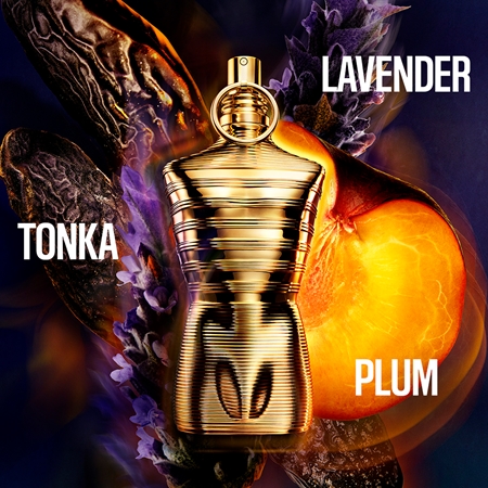 香水(男性用) Le Male Elixir Absolu 125ml Jean Paul Gaultier Le Male Elixir Absolu perfume for men | notino