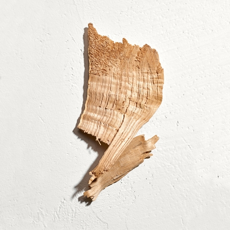 notino jil sander sun