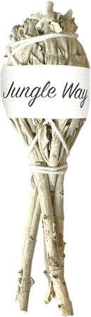 Jungle Way White Sage aromātiskās lampiņas II
