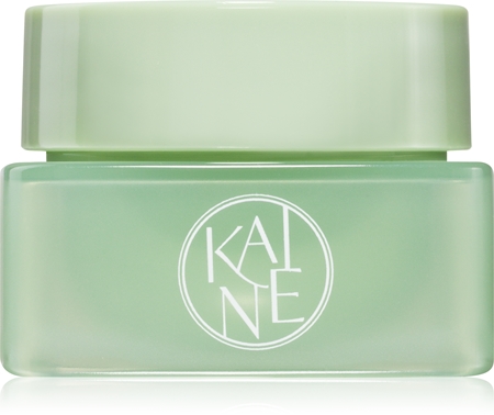KAINE Travel Kit Reiseset