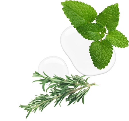 Kallos KJMN Professional Rosemary Regenerating and Protective Oil for Damaged Hair and Split Ends