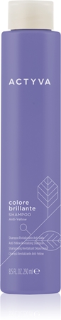 Kemon Group Actyva Colore Brillante Brassy Tones Neutralizing Shampoo