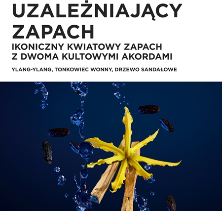 Kérastase Nutritive 8H Magic Night Serum zestaw upominkowy do włosów suchych