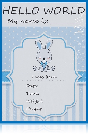 KidPro Milestone Cards Bunny For a Boy karteczki z kamieniami milowymi