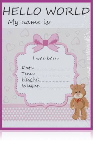 KidPro Milestone Cards Bear For a Baby Girl karteczki z kamieniami milowymi