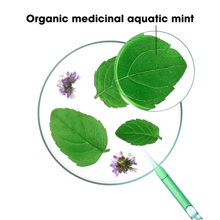 Klorane Organic Mint champú desintoxicante para cabello normal