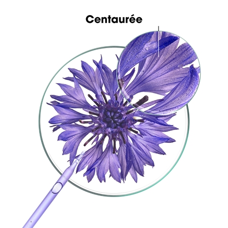 Klorane Cornflower Organic šampūnas geltoniems atspalviams neutralizuoti
