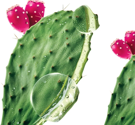Klorane Prickly Pear hidratáló szérum hialuronsavval