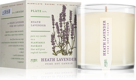 KOBO Plant The Box Heath Lavender bougie parfumée