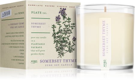KOBO Plant The Box Somerset Thyme lumânare parfumată