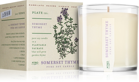 KOBO Plant The Box Somerset Thyme αρωματικό κερί