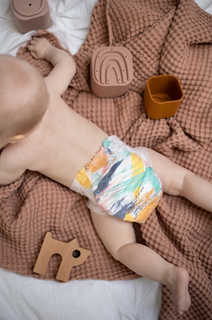Kolorky Day Brushes disposable organic nappies