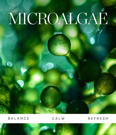 KORA Organics Active Algae čisticí balzám na obličej
