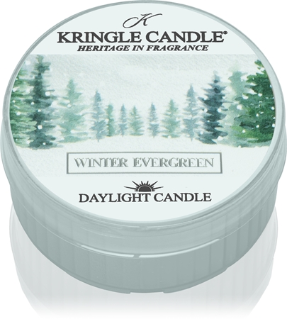 Kringle Candle Winter Evergreen čajová svíčka