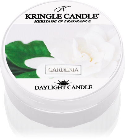 Kringle Candle Gardenia Teelicht
