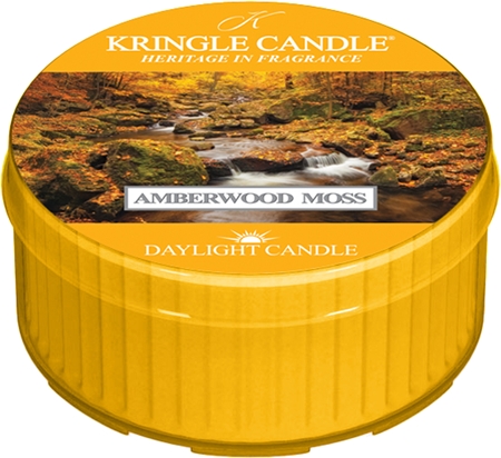 Kringle Candle Amberwood Moss tealight candle