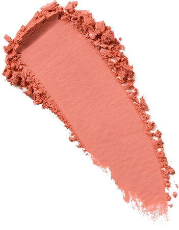 Kylie Cosmetics Kylie Jenner Blush Powder Puderborste