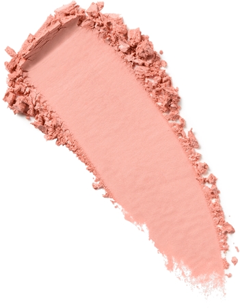 Kylie Cosmetics Kylie Jenner Blush Powder Puderborste