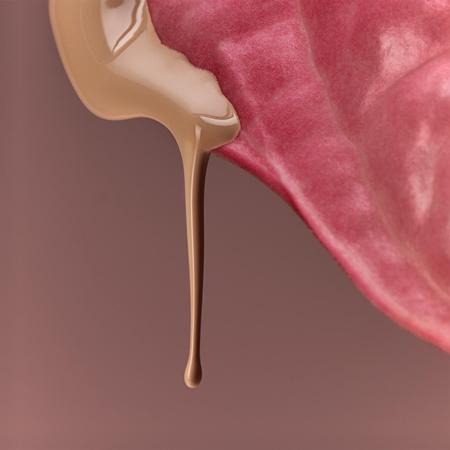 Kylie Cosmetics Kylie Jenner Liquid Foundation Flydende foundation