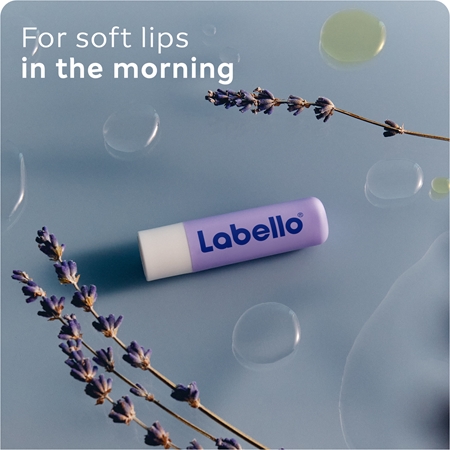 Labello Lip Care Lip Balm economy pack
