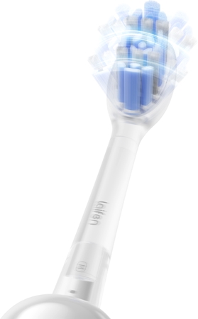 Laifen MaxS Max Brush Head Replacement Heads For Toothbrush