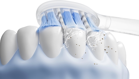 Laifen MaxS Max Brush Head Replacement Heads For Toothbrush