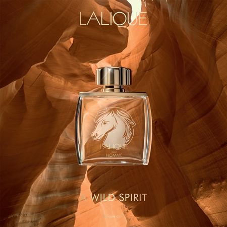 Lalique Pour Homme Equus Eau de Parfum para hombre