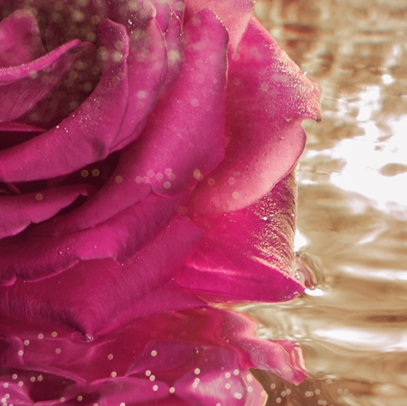 Lancôme Absolue Precious Cells revitalisierendes Gel mit Rosenextrakten