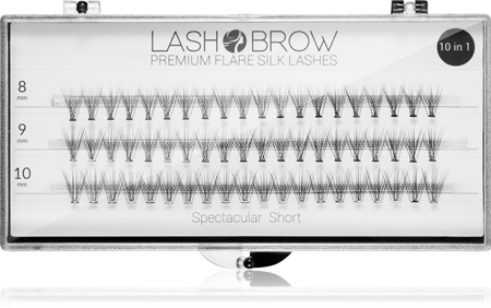 Lash Brow Premium Flare Silk Lashes False Eyelashes