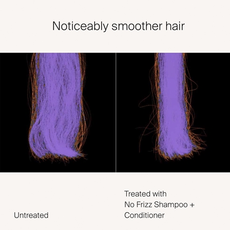 Living Proof No Frizz uhlazující kondicionér proti krepatění