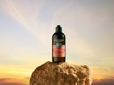 L’Occitane Aromachologie Intensives Regenerierungsshampoo für trockenes und beschädigtes Haar