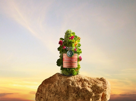 L’Occitane Aromachologie Intensives Regenerierungsshampoo für trockenes und beschädigtes Haar