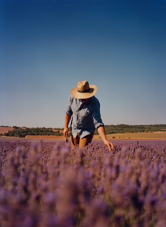 L’Occitane Lavender Närande handkräm