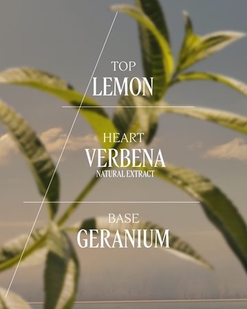 L’Occitane Verveine Eau de Toilette für Damen