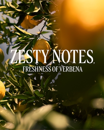 L’Occitane Verveine Agrumes Shower Gel Duschgel