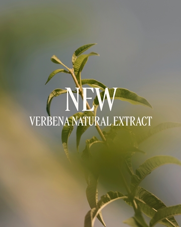 L’Occitane Verveine Perfumed Body Lotion Bodylotion