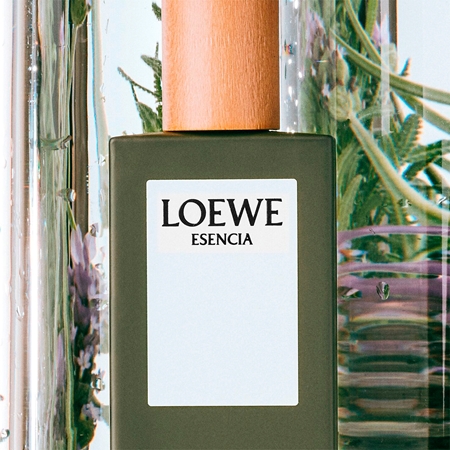 Loewe Esencia Eau de Toilette para homens