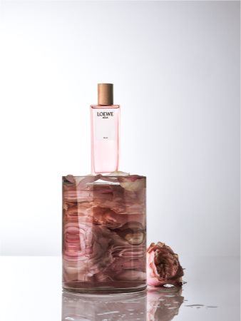 Loewe aftershave sale