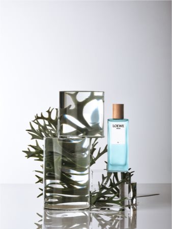 Loewe agua outlet perfume