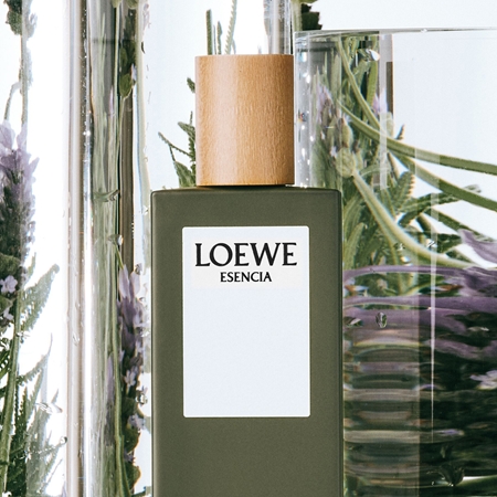 Loewe Esencia toaletní voda pro muže