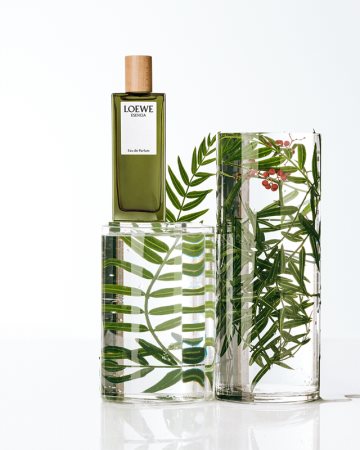 Loewe esencia pour shop homme eau de parfum