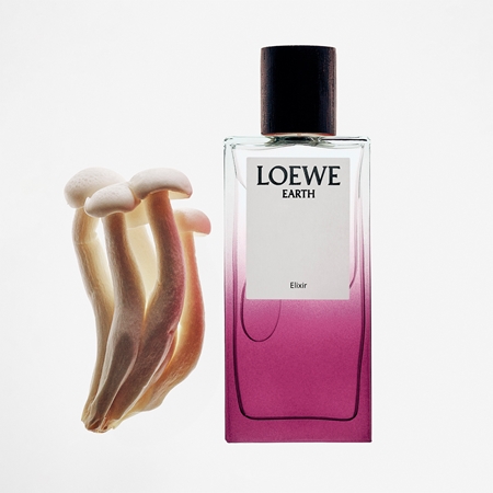 Loewe Earth Elixir Eau de Parfum mixte