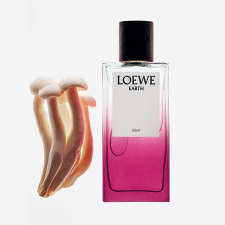 Loewe Earth Elixir Eau de Parfum Unisex