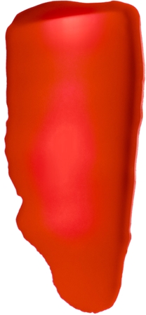 L’Oréal Paris Lip Paint batom líquido com efeito matificante