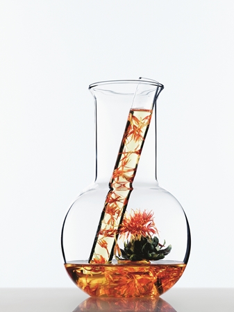 L’Oréal Paris Botanicals Rich Infusion balzam za suhu kosu